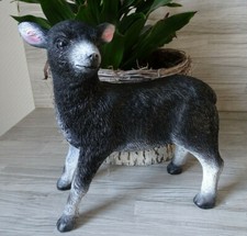 Schöne