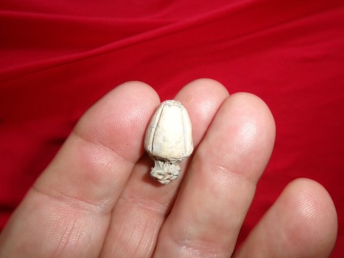 Unique civil war carved - ,