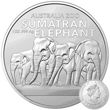 Sumatra Elefant 2022