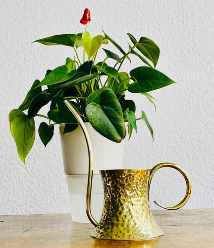 Seltene design gießkanne - seltene,