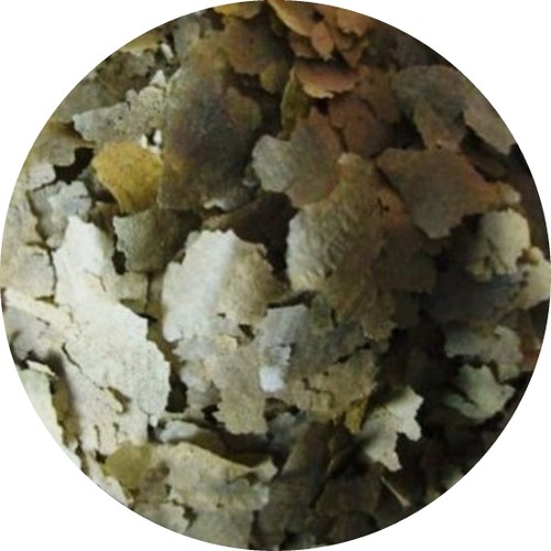 Flockenfutter spirulinaflocke - flockenfutter,