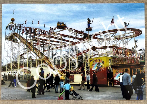 Xxl foto coaster wilde maus - foto,