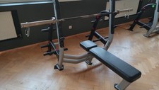 Nautilus Star Trac Bankdrücken gerade inklusive Stange -GYM-BEDARF-