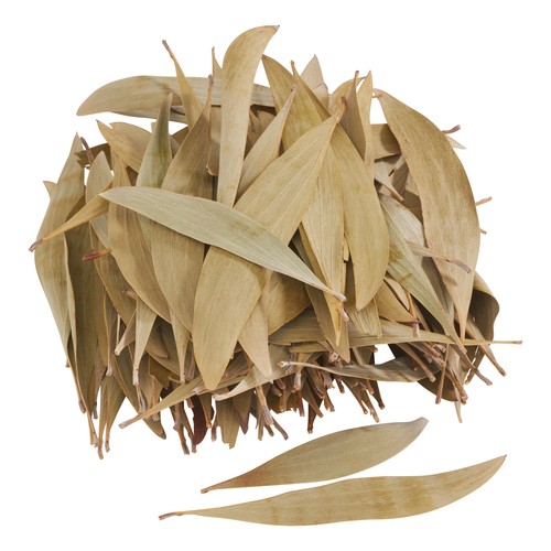 Eukalyptus blätter 100 g - blätter,,