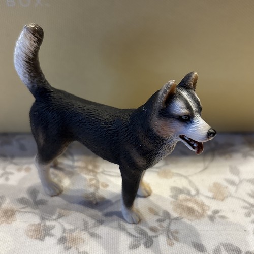 Schleich husky rüde - husky,