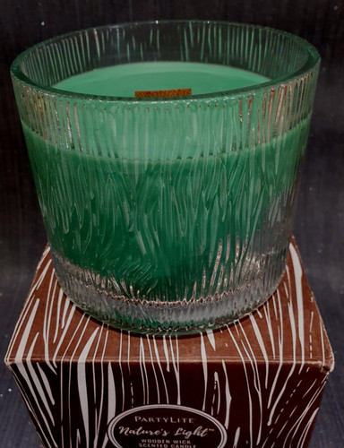 Partylite nature light dwg - light,