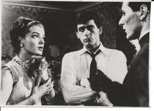 Pressefoto romy schneider - -,