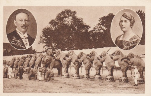 Krone der größte - "krone",