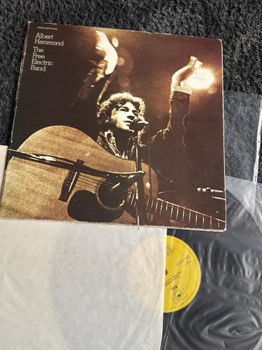 Albert hammond vinyl vg - vinyl,