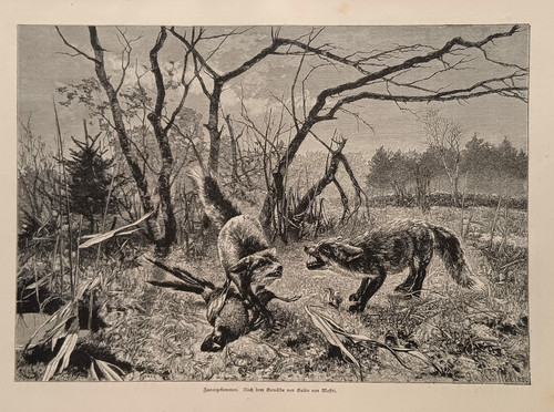 1885 holzstich wood - 1885,