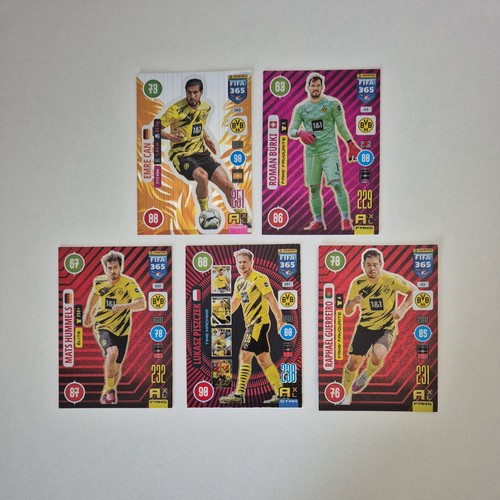 Panini 2021 borussia - panini,