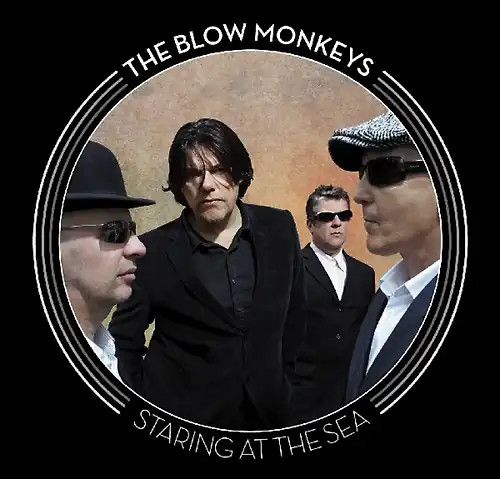 The blow monkeys - monkeys, staring