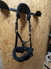 Kappzaum/Halfter aus Nylon mit Kunstfell, Gr. WB