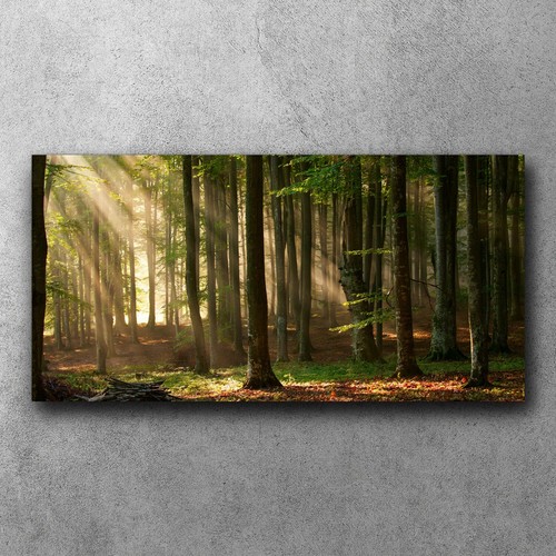 Canvas xxl leinwand bilder - canvas,