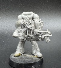 Rogue Trader Space Marine with