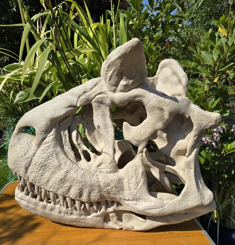 Lebensgroßer karnotaurus - lebensgroßer,