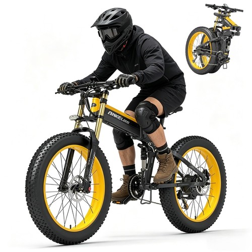Elektrofahrrad zoll - 26,