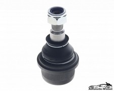 Traggelenk / Vorne für