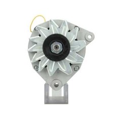Lichtmaschine passend für