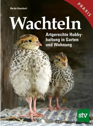 Wachteln artgerechte - |,