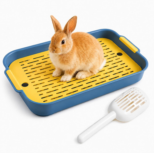 Kaninchen toilette mit - kaninchen,