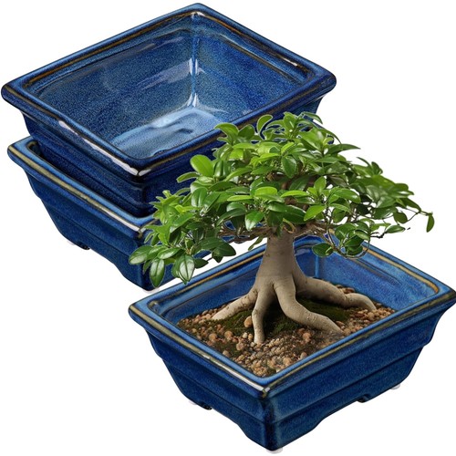 Bonsai keramiktopf pflanztopf - keramiktopf,