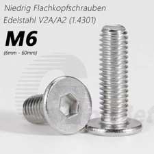 M6 niedriger Flachkopf