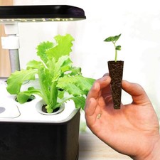 5/20/50pcs Wurzelwurzelschwamm Samenkapseln, die mit Aerogarden für Hydroponik