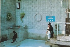 Postkarten - Postkarte -