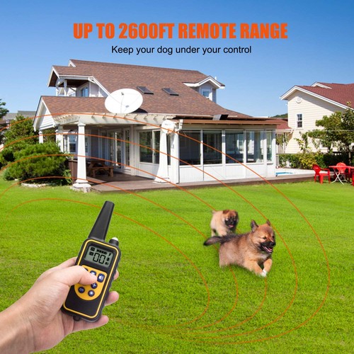 Profi elektroschock pet - elektroschock, dog