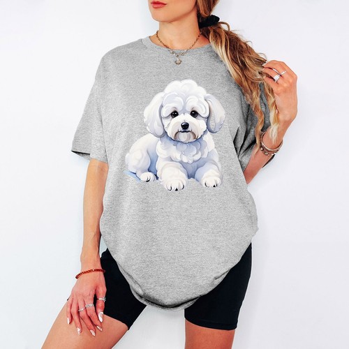 Bichon frise hund - tiere, damen