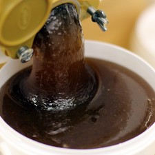 Weißtannenhonig aus - kg,
