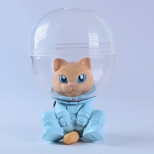 Spacenyan cat - spacenyan, pose)