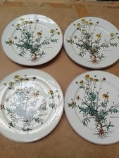 Villeroy Boch Botanica 6