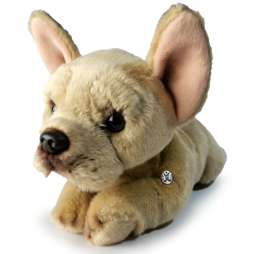 Französische bulldogge - französische,