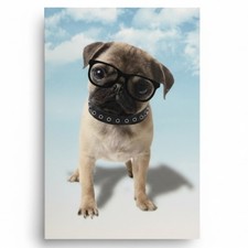 Wohndecke mit Tiermotiv 150 x