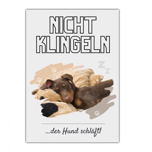 Dobermann dobi hund hunde - dobi,