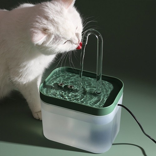 Trinkbrunnen für katze - für,