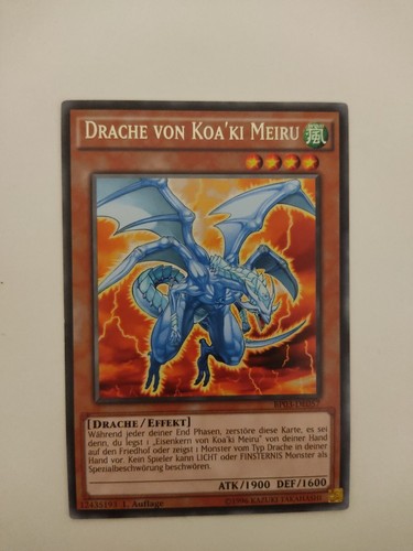 Drache von koa meiru - drache,