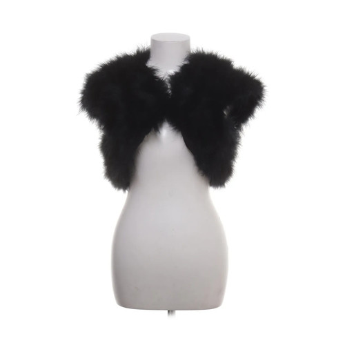 Magic nights bolero - magic, bolero,