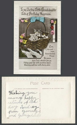 Cat kitten darling - to,
