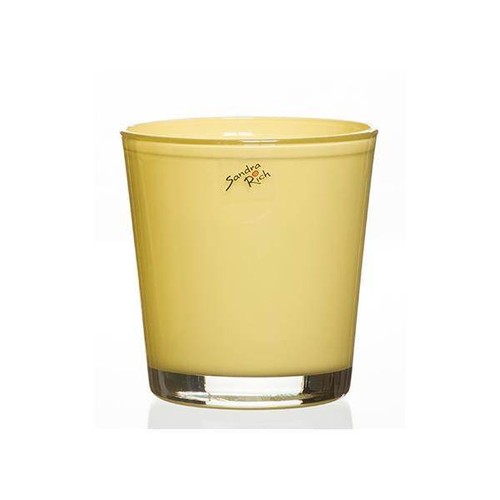 Glas orchideentopf blumentopf - glas,