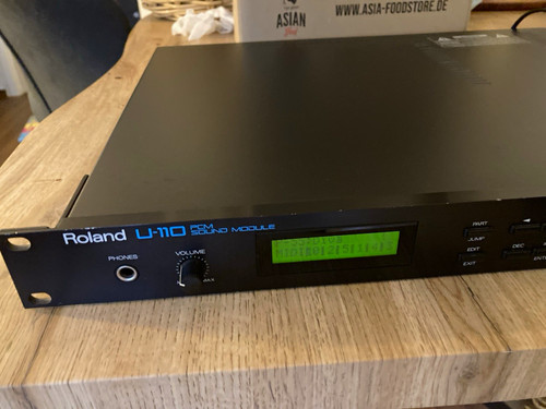 Roland 110 digitaler - u-110,