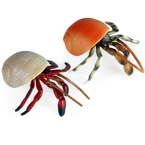 Einsiedlerkrebs tierfigur - einsiedlerkrebs,