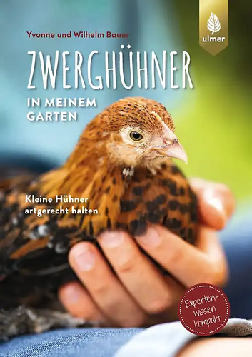 Zwerghühner meinem garten - zwerghühner, in