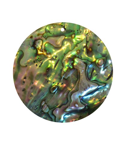 Paua shell muschel - shell, anhänger