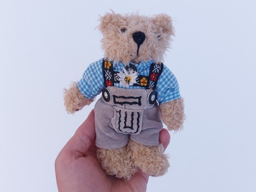 Süßer teddybär tracht - süßer,