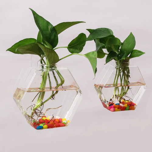 Wandvase hängend glas - hängend,