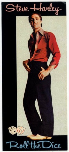Steve harley roll the - harley,