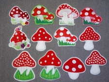 Pilz Fliegenpilz
